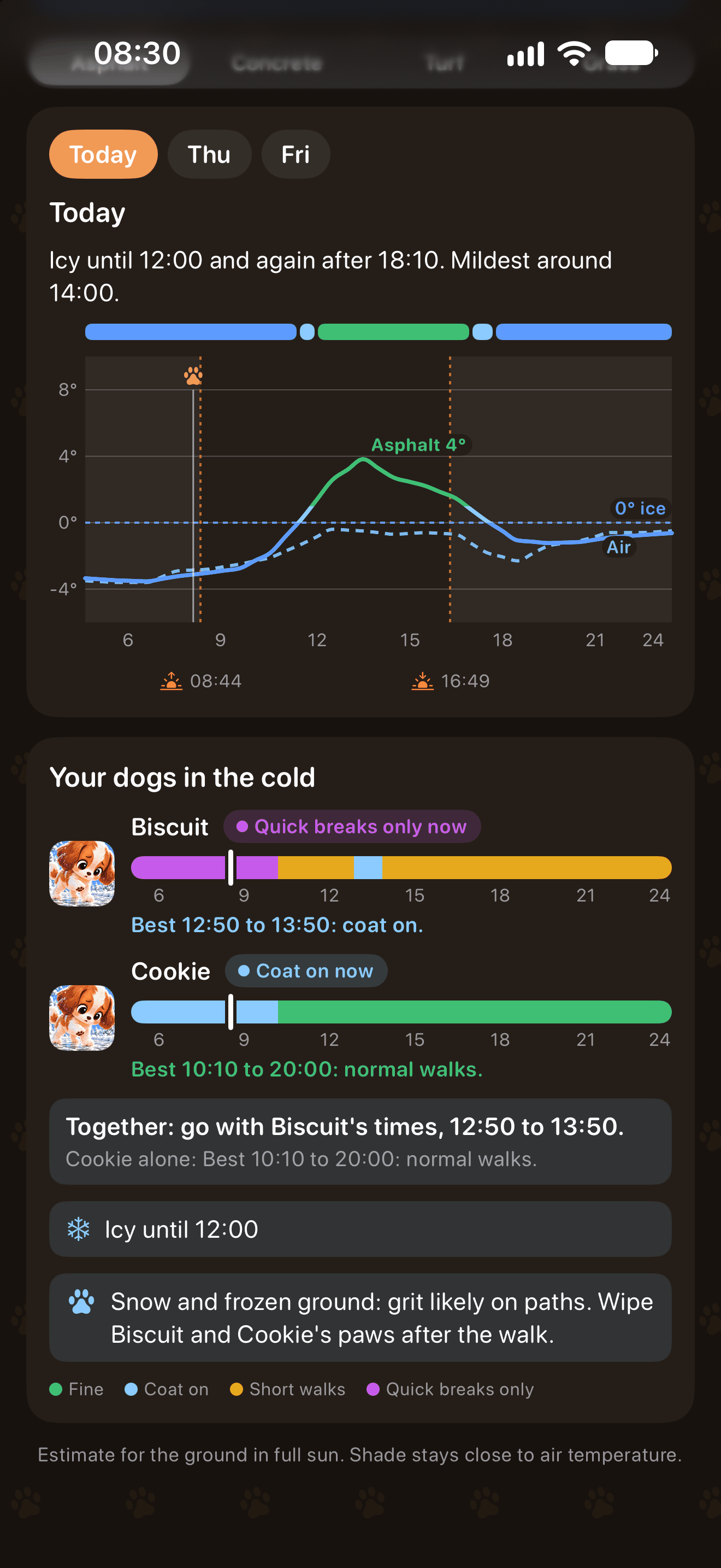 Your dogs in the cold in Pavement Paws: Biscuit on quick breaks only, Cookie with a coat on, the best times, icy until 12:00