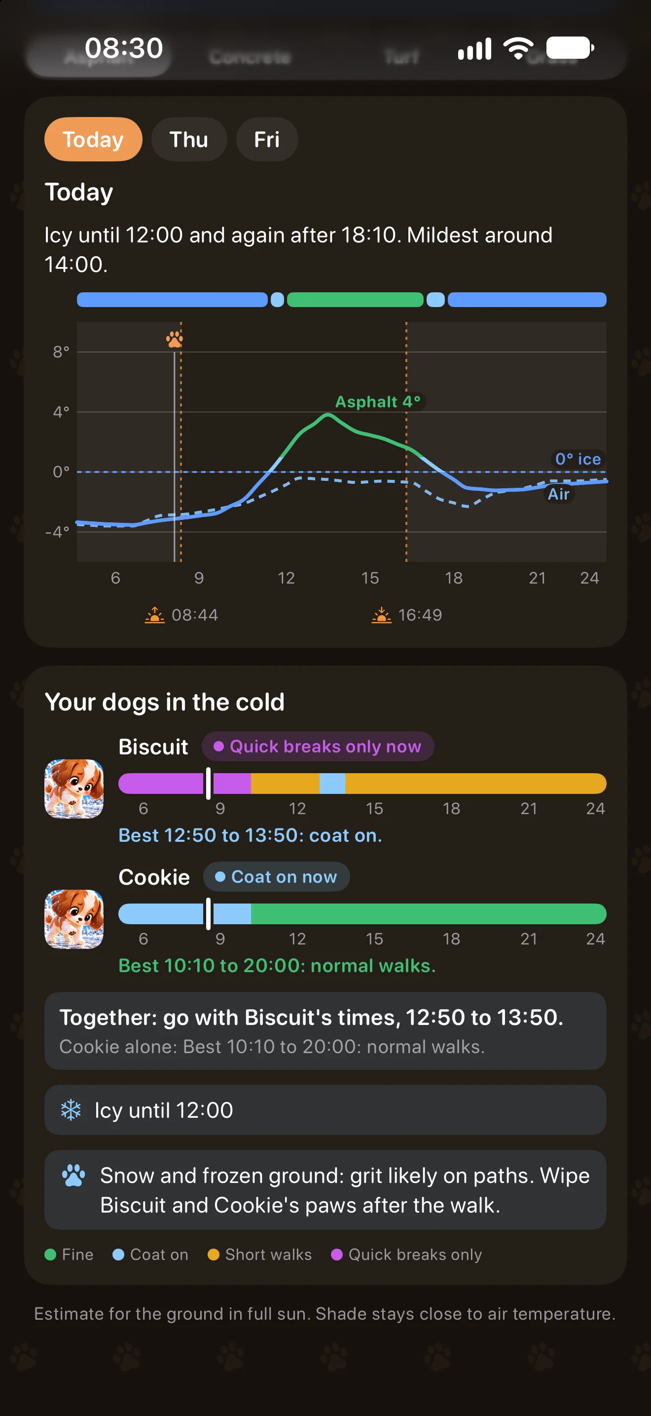 Your dogs in the cold in Pavement Paws: Biscuit on quick breaks only and Cookie with a coat on, each with a band for the day and the best time, walking together, icy until 12:00 and a note about grit